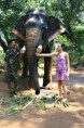 /album/fotogaleria-goa/photos1c245-726-photoredukto-jpg/